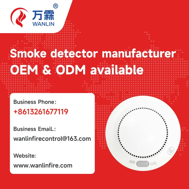 From Shenzhen to Middle East: The zone-by-zone testing Export Success Story
